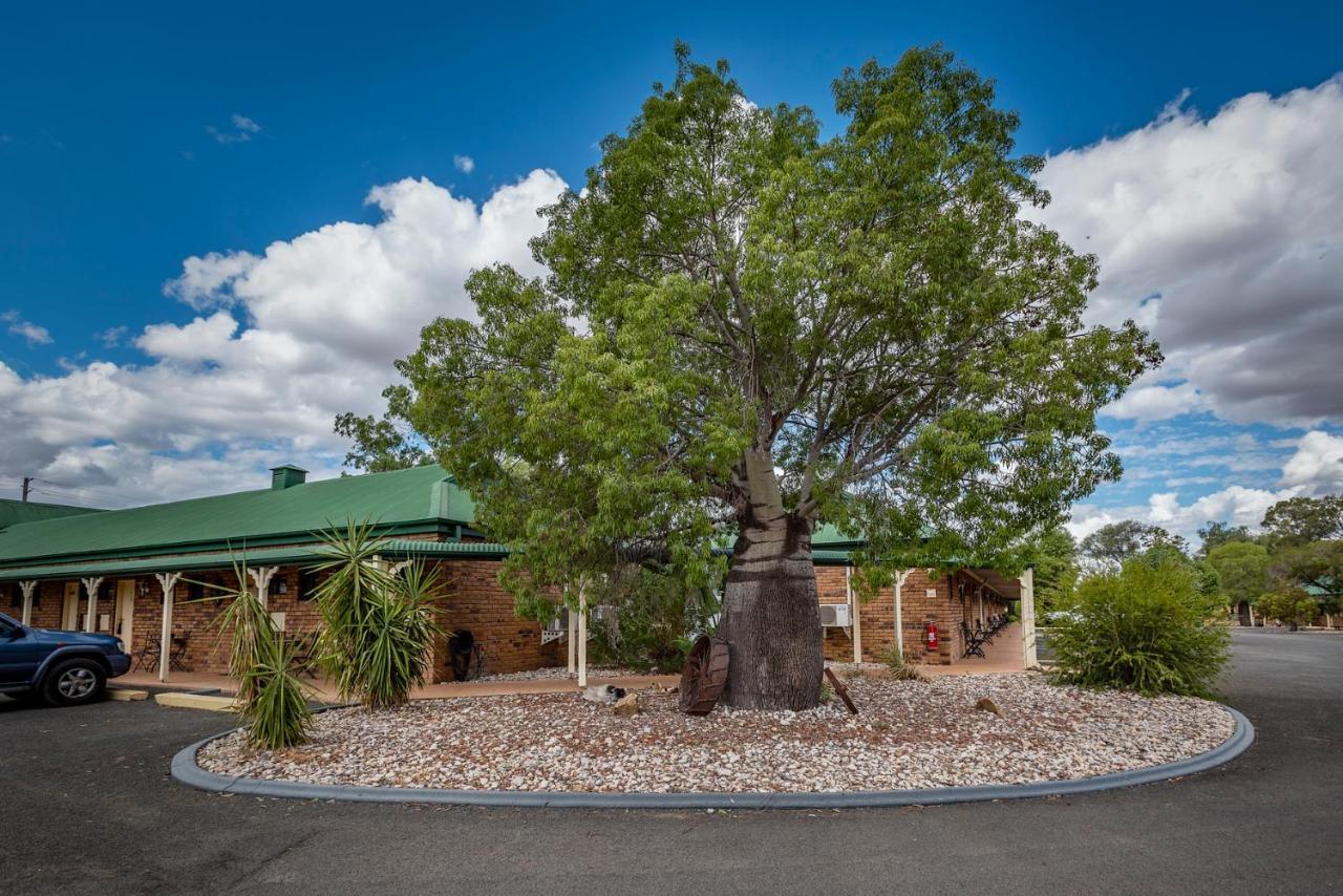 Overlander Homestead Motel Roma Exterior photo
